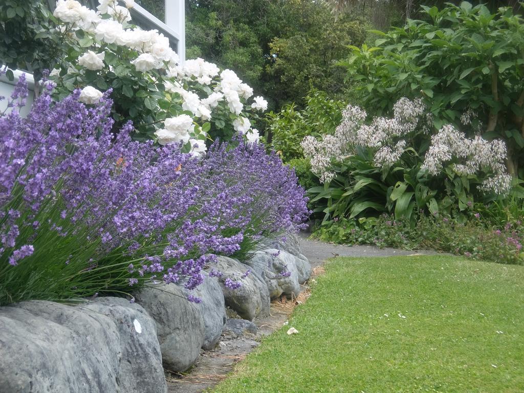 The Point B&B Kaikoura Exterior photo