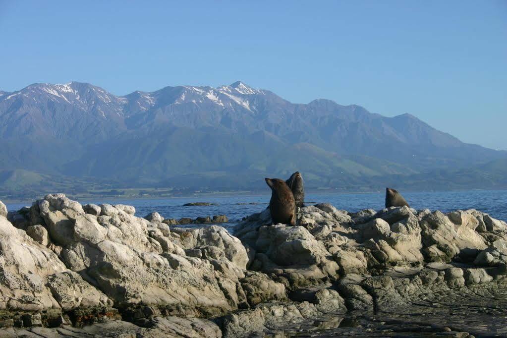 The Point B&B Kaikoura Exterior photo